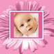 own picture on pink flower